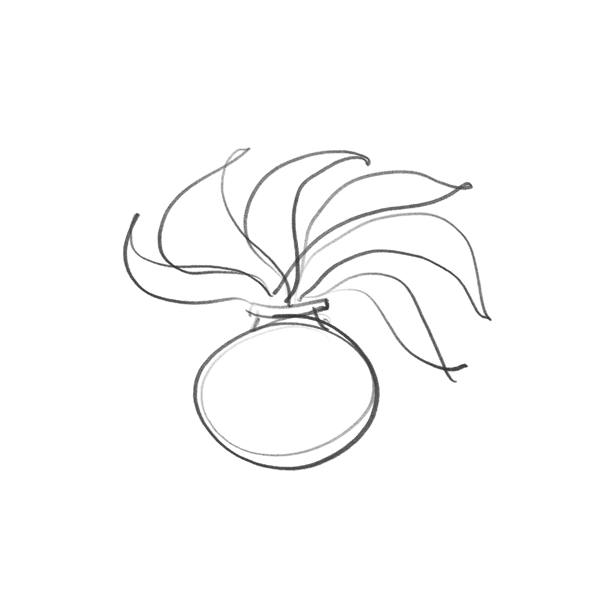 immagine della card Museo Storico Carabinieri